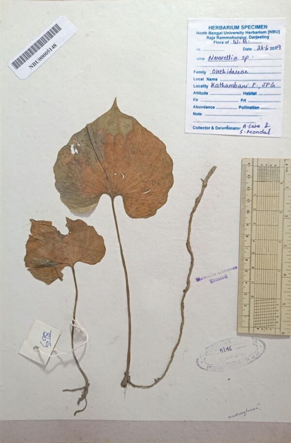 DocScanner 8 Apr 2026 1-32 pm